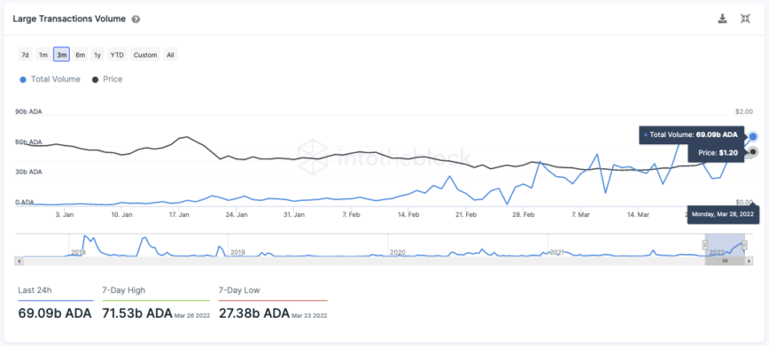 Source d'activité du réseau Cardano : IntoTheBlock