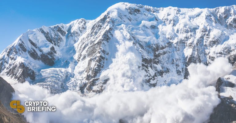 La Fondation Avalanche et OP3N lancent un fonds pour la culture Web3 de 100 millions de dollars