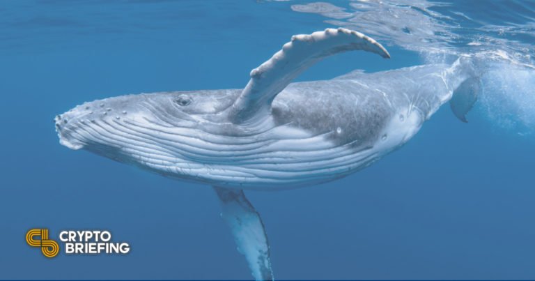Cardano Whales sur la frénésie d&rsquo;achat