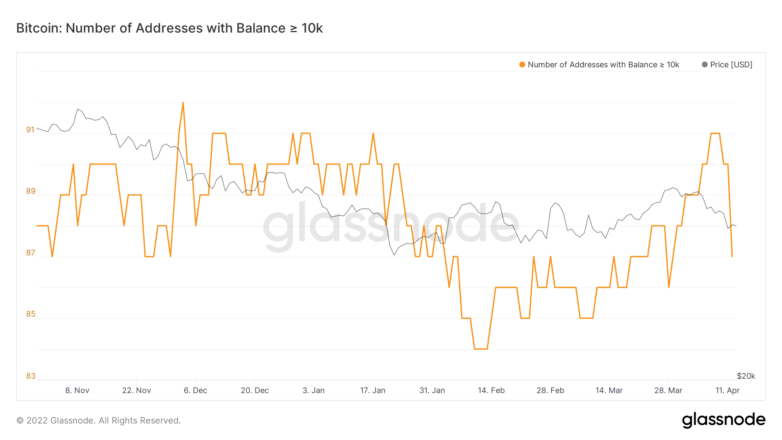 Avoirs de baleines Bitcoin